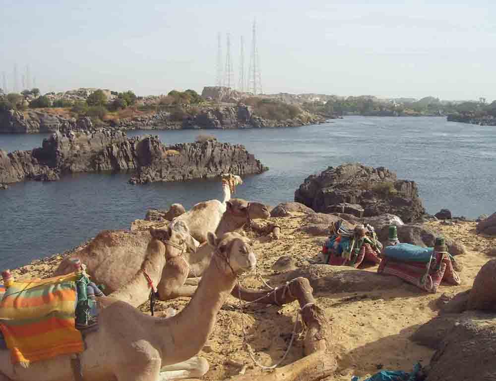 A Trip to Nubian Village by Motor Boat 8