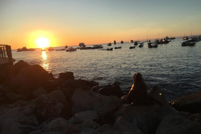 Galapagos Sunset