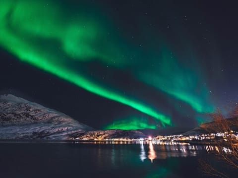 Northern Lights by Boat from Reykjavik, photo 2
