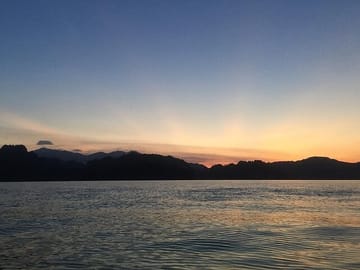 Glow-in-the-Dark Mangrove Adventure – Night Safari Plus Dinner