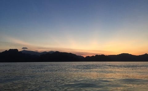 Glow-in-the-Dark Mangrove Adventure – Night Safari Plus Dinner