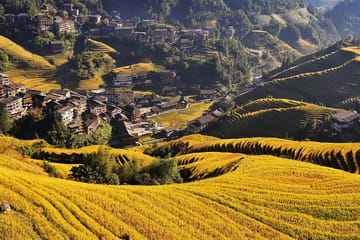 Longji Dazhai Rice Terraces Day Tour with Cable Car Ride