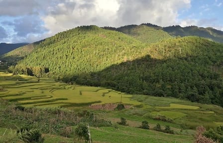 Chitlang Village Homestay Hike – 2 Days / 1 Night