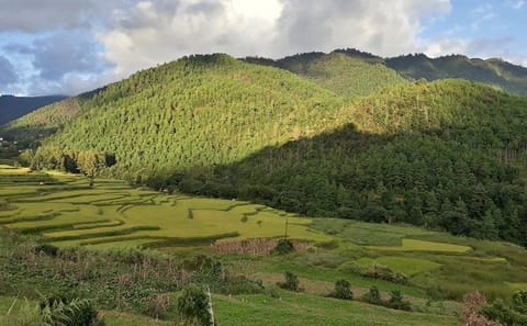 Chitlang Village Homestay Hike with Kulekhani Lake Visit
