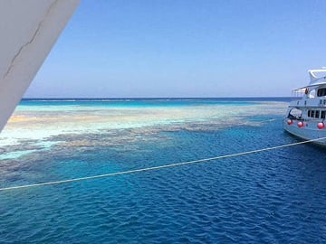 Tiran Island Full-Day Boat Trip with Lunch from Sharm El Sheikh