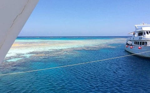 Tiran Island Full-Day Boat Trip with Lunch from Sharm El Sheikh