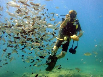 Scuba Diving Adventure with Lunch in Alanya, Türkiye