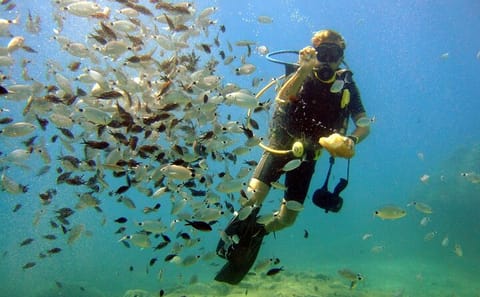 Scuba Diving Adventure with Lunch in Alanya, Türkiye