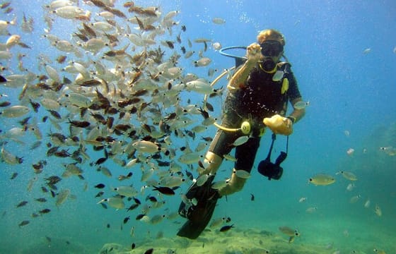 Scuba Diving Tour with Lunch in Alanya