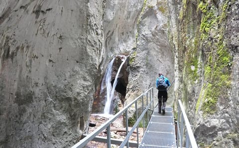 Small-Group Hiking Tour of 7 Ladders Canyon from Brașov
