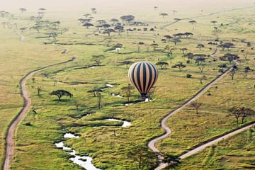4 Days group safari in a safari van With no park fees