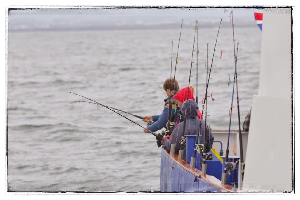 Sea angling