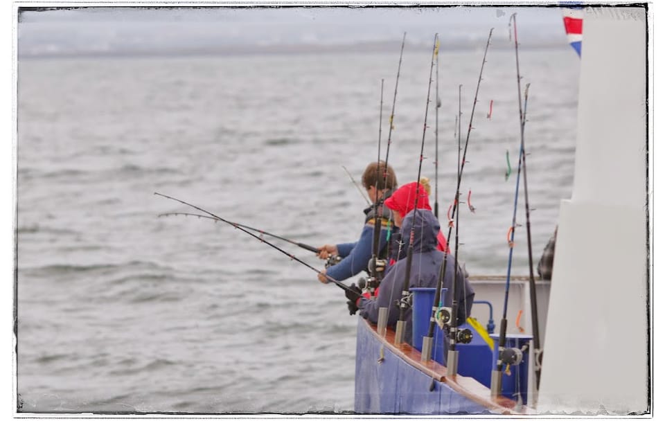 Sunset Fishing Tour in Faxaflói Bay, Reykjavík
