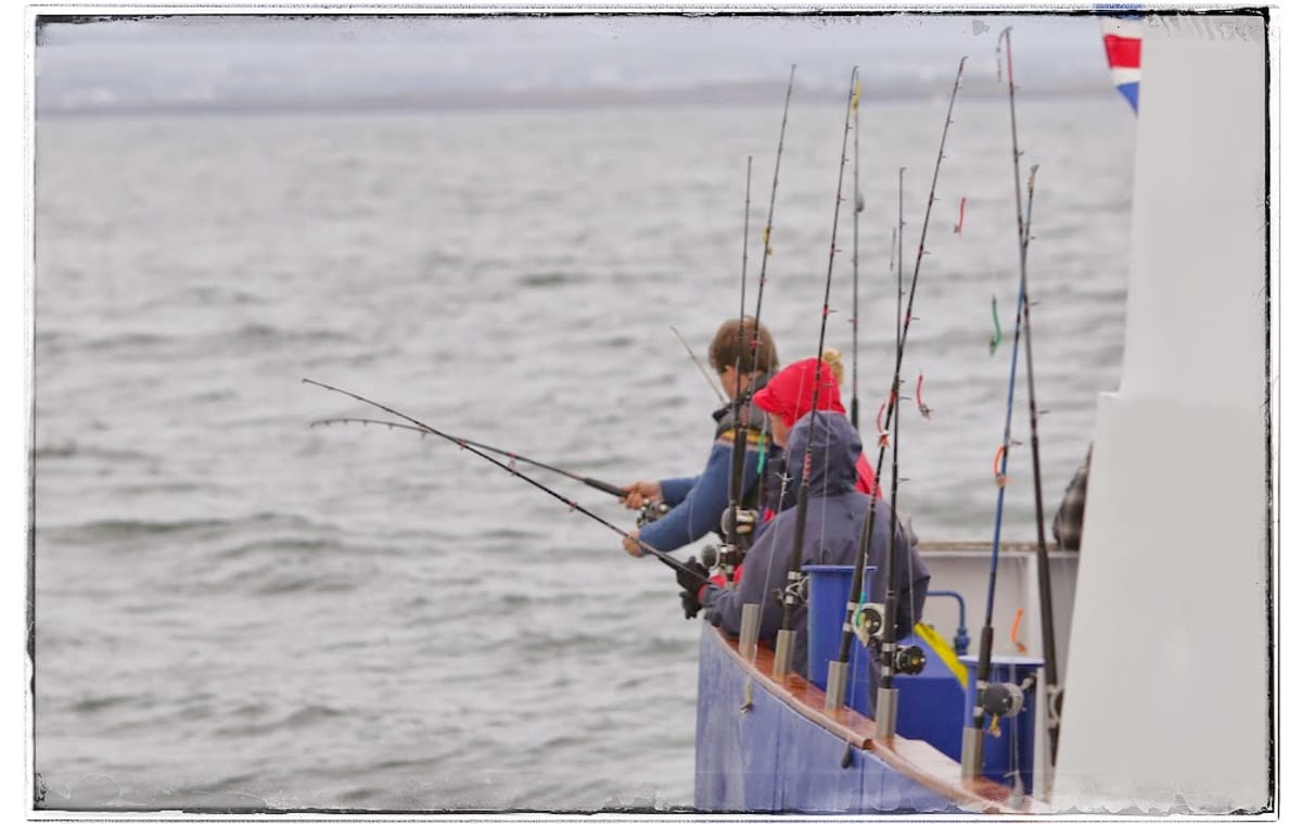 Sunset Fishing in Faxaflói Bay: 2.5-3 Hour Excursion