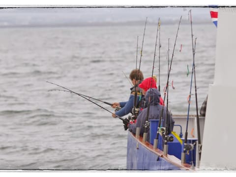 Sea angling