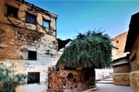Private Day Tour To Saint Catherine's Monastery By VIP MiniBus 8