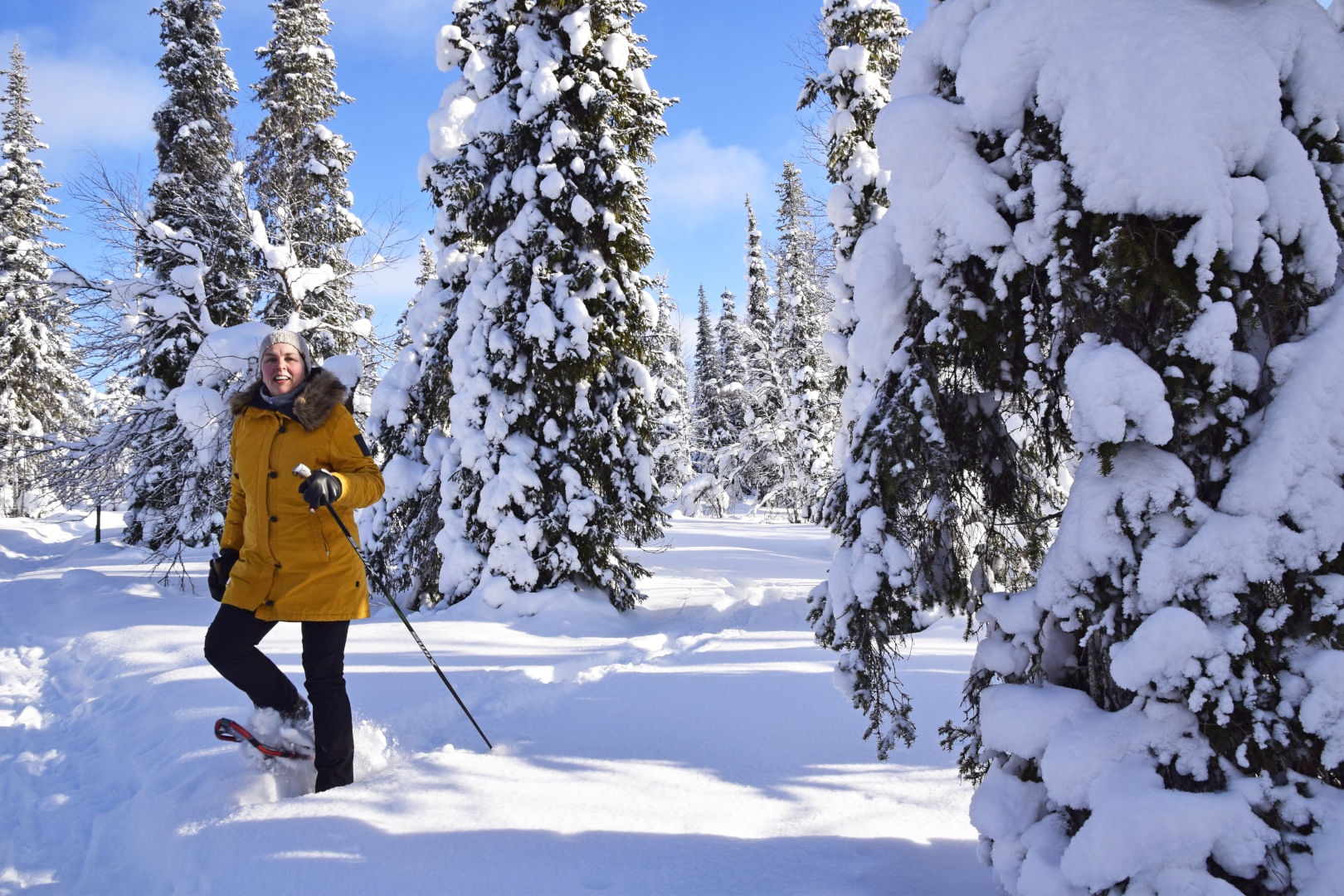 A lady in a yellow jacket snowshoeing in deep snow.