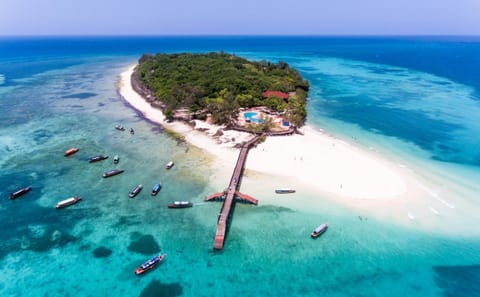 Prison Island and Nakupenda Beach Day Tour in Zanzibar
