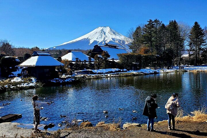 Full Day Private Guided Tour Mt. Fuji and Hakone