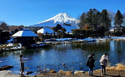 Mt. Fuji and Hakone Customizable English Guided Private Tour