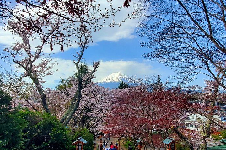 3 Days Private Tour Tokyo, Mt. Fuji and Hakone