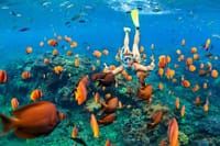 Cancun 5 in 1 Snorkeling Tour: MUSA, Shipwreck, Reefs & Cenotes 4
