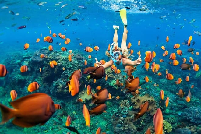 Cancun 5 in 1 Snorkeling Tour: MUSA, Shipwreck, Reefs & Cenotes photo 4