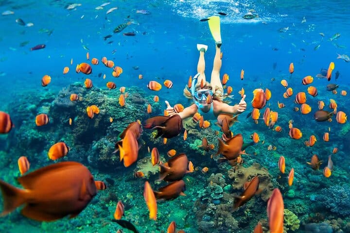 Cancun 5 in 1 Snorkeling Tour: MUSA, Shipwreck, Reefs & Cenotes 4