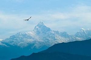 Private Half day Pokhara sightseeing 