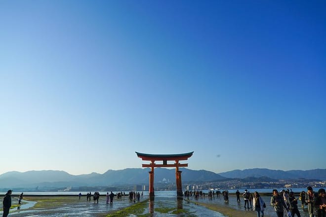 Miyajima Half-day Trip Historical Walking Tour photo 4