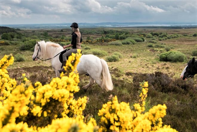 Horse riding in the Burren. Clare. Guided. 3 hours photo 5