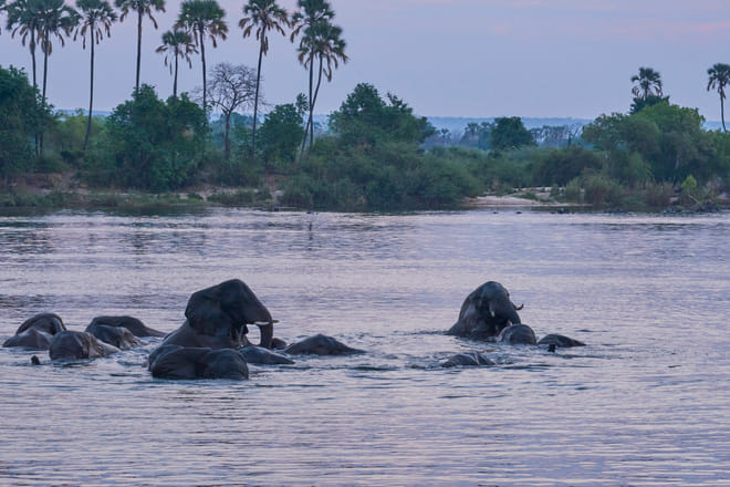 Victoria Falls: Zambezi Dinner Cruise