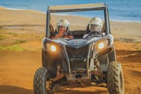 Sunset Camel Ride and ATV Combo Adventure in Los Cabos 10