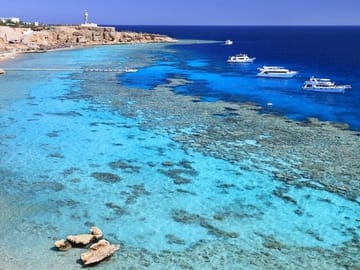 Day Trip from Sharm El Sheikh to Luxor with Guided Tours