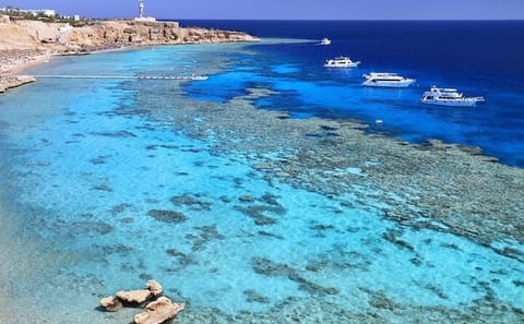 Day Trip from Sharm El Sheikh to Luxor with Guided Tours