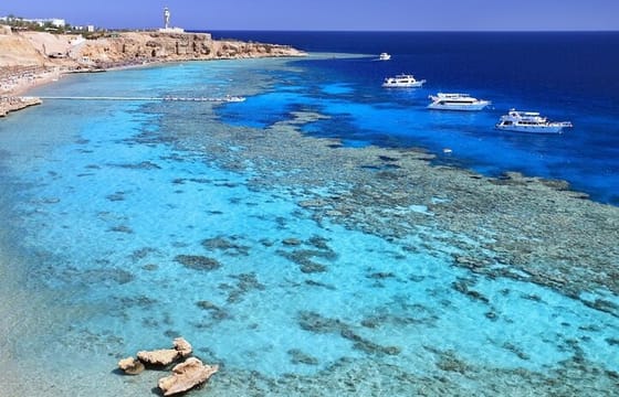Guided Day Trip from Sharm El Sheikh to Luxor by Plane