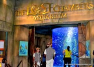 Dubai Atlantis Aquaventure Water Park with Lost Chambers Tickets 7