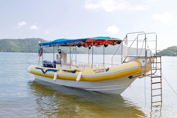 Half day tour to idyllic beaches - Saco Mamanguá Fjord 7