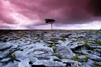Spiritual walk within the Burren. Clare. Private guided. 4 hours 2