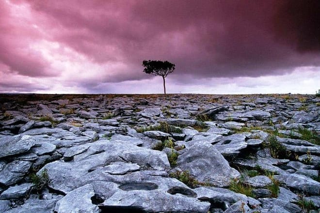 Spiritual walk within the Burren. Clare. Private guided. 4 hours 2
