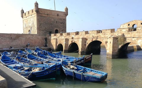 Guided Day Trip to Essaouira from Taghazoute