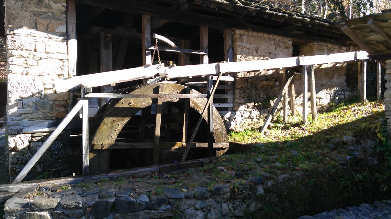 Skip the Line: Tour in Open Air Ethnographic Museum ETAR + ticket 2