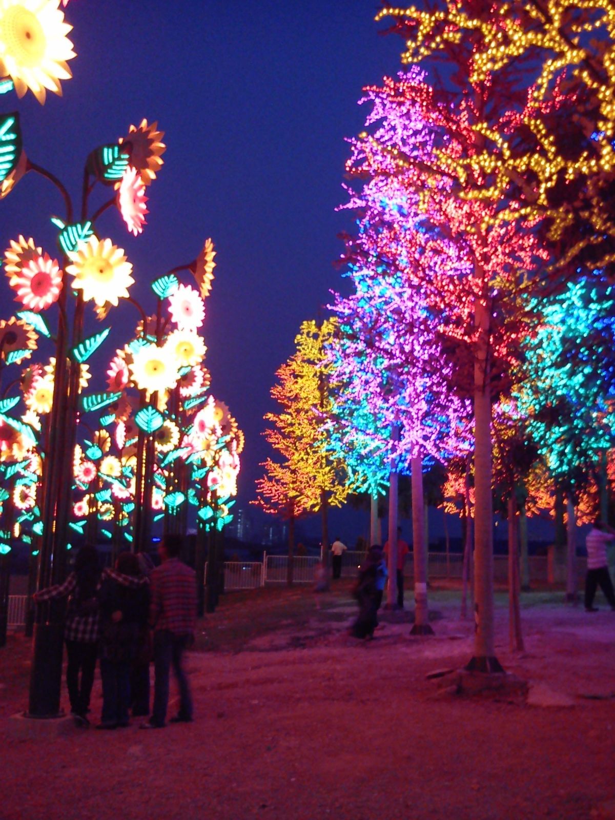 شجار مضيئة بألوان زاهية تضفي أجواء ساحرة على المكان  تجربة مبهرة تحت أضواء LED المتألقة في آي سيتي