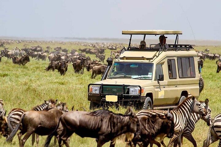 Maasai Mara Camping Safari: Big 5 Adventure in 4×4 Jeep