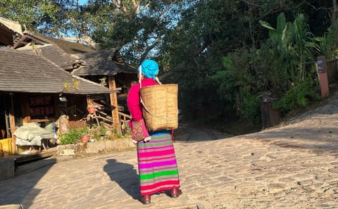 Jingmai Mountain Tour: Explore Tea Forests and Dai Villages
