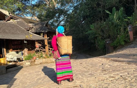Jingmai Mountain Tour: Explore Tea Forests and Dai Villages