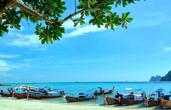 Phuket’s Top Tours DISCOUNTED plus Return Airport Transfers