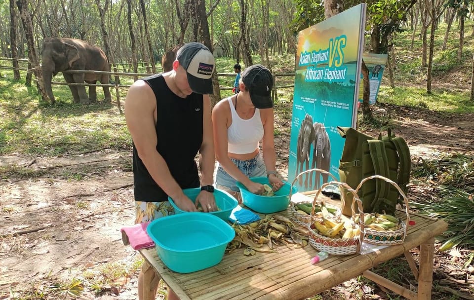 2-Hours Eco Guide Walking Tour in Khao Lak Elephant Sanctuary