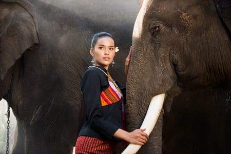 Guided Tour: Giraffe Center, Elephant Orphanage & Kazuri Beads in Nairobi