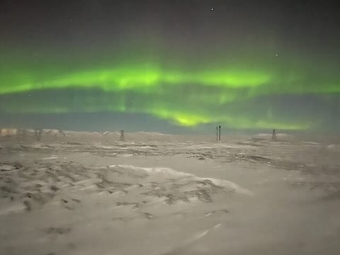Northern Lights Private Tour, photo 2